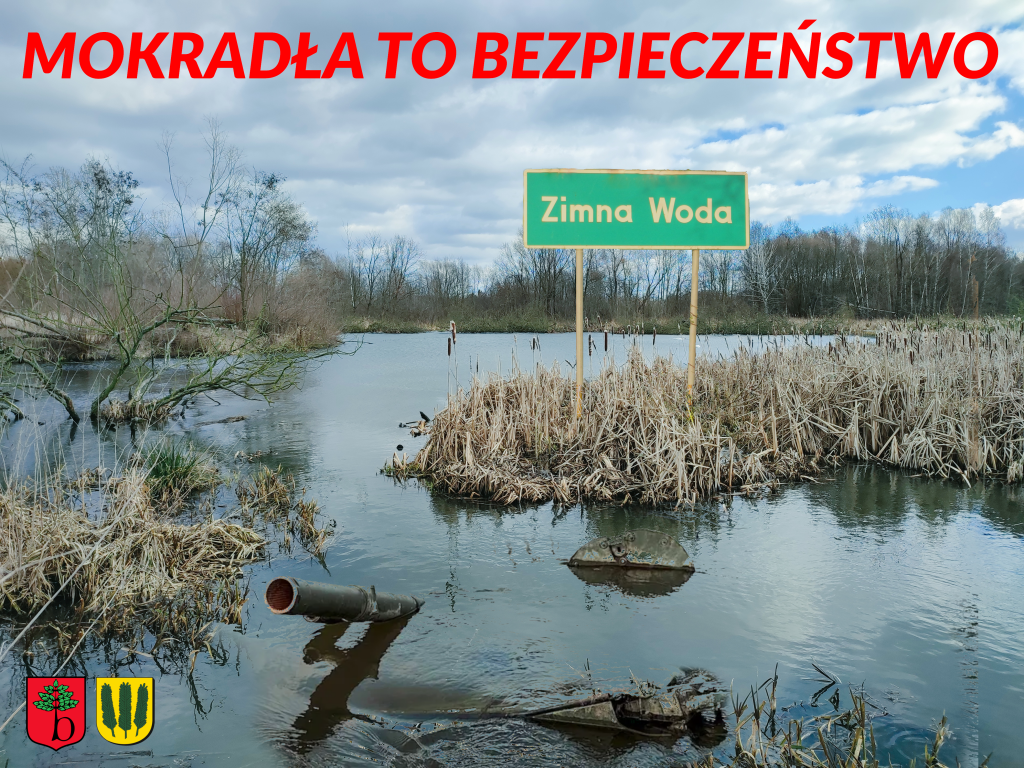 Fotomontaż: Czołg zatopiony w rozlewiskach Zimnej Wody